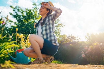 woman gardening in the heat, sun beating down on garden