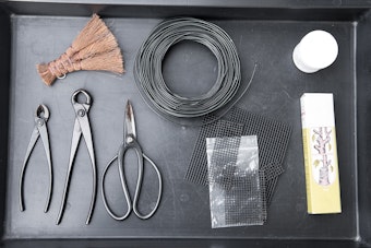 bonsai styling tools