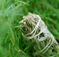 rosemary surrounding tied sage herbs