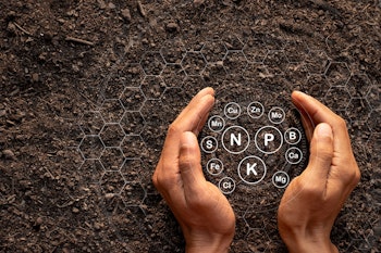 person with hands around soil components, the organic symbol makeup of the soil