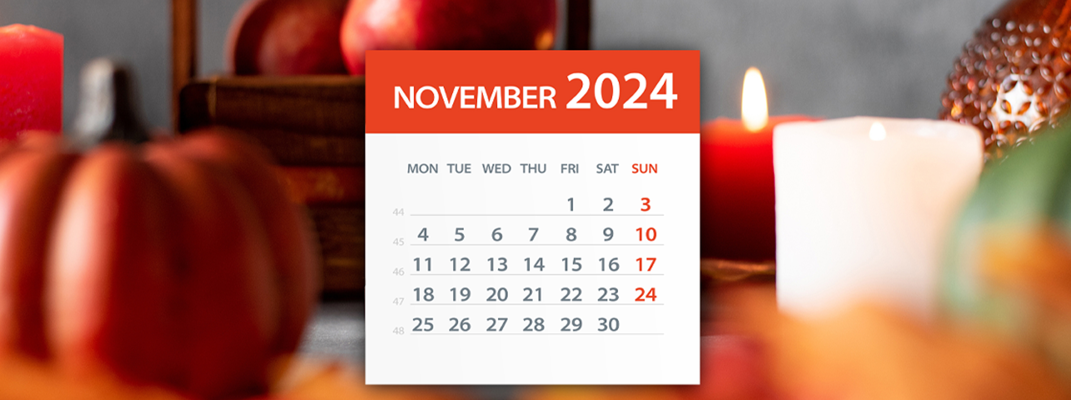 November 2024 gardening calendar