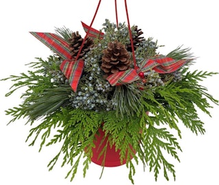 holiday inspired fernhill berries and bows hanging basket