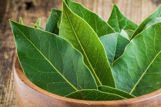 fresh bay leaves herbs in a small wooden bowl