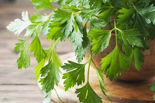 fresh parsley herb hanging out of a wooden bowl