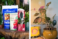 Houseplants with light and moisture meters, potting soil and plant food.