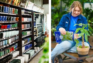 A wall of indoor pots, and a SummerWinds staff member adding moss to a houseplant's pot.