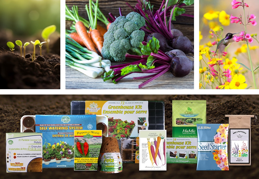 2 colums of images - the top made up of 3: plant starts in round plantable pots; rainbow chard on a wooden table and a hummingbird enjoying a pink flower with yellow flowers in the background. The second column is a variety of tools to grow from seed, including pulp pots, seeds, seed trays, soils and more--all on a blue background
