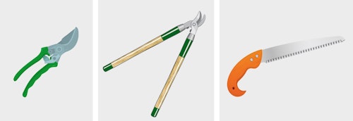 illustrations of pruners, loppers and pruning saw