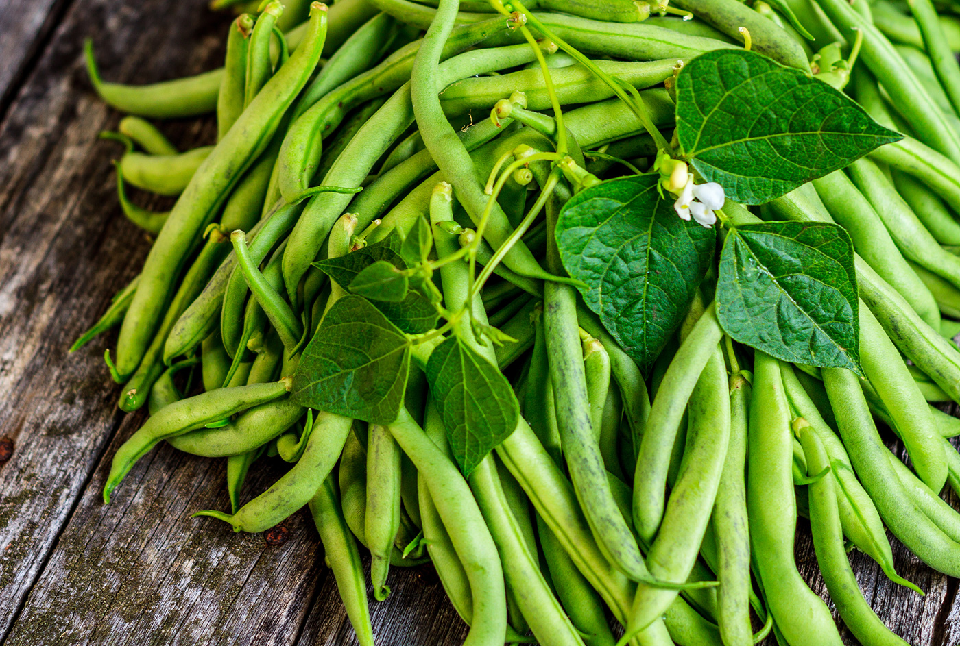 A bunch of fresh-picked green beans on a wooden table with some leaves.