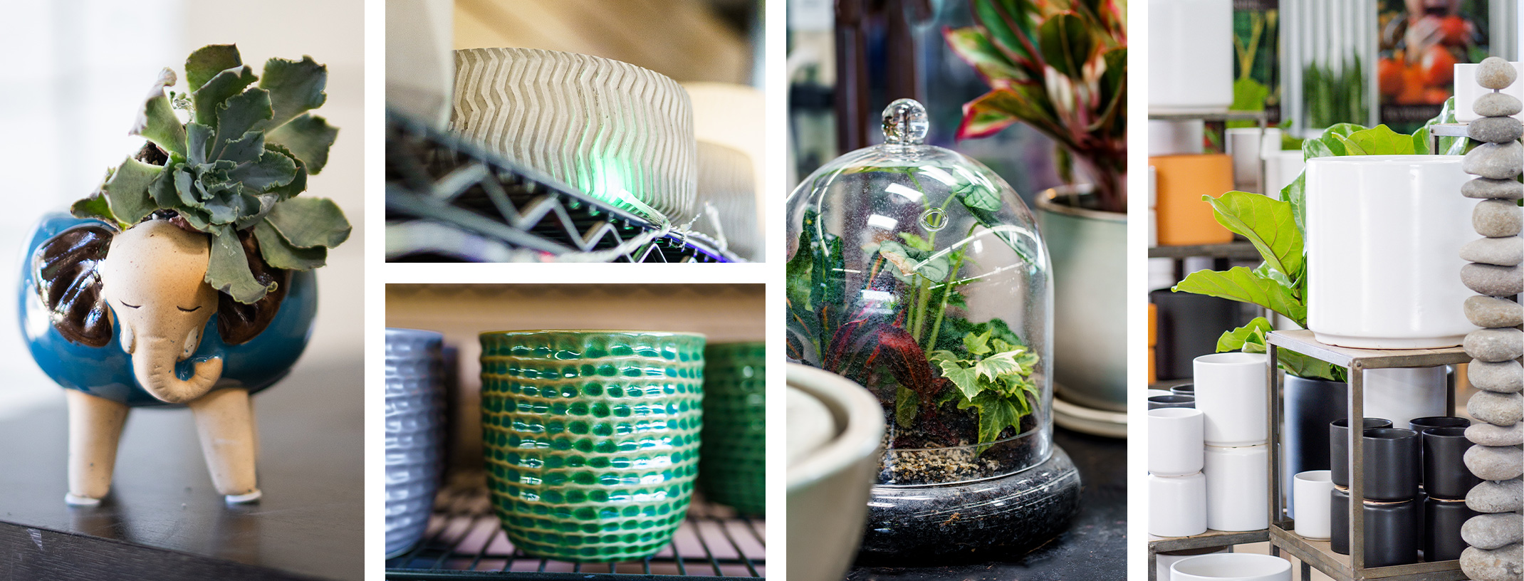 6 different houseplant pots and a variety of houseplants.