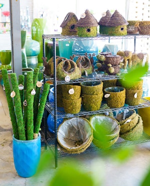 Moss poles, and moss covered pots, purses, turtles, bird houses, etc.