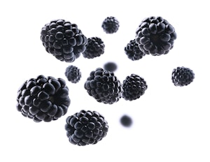 falling blackberries