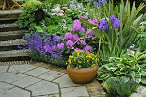 woodland garden with rhododendron, hosta, iris, ferns and potted yellow flowers