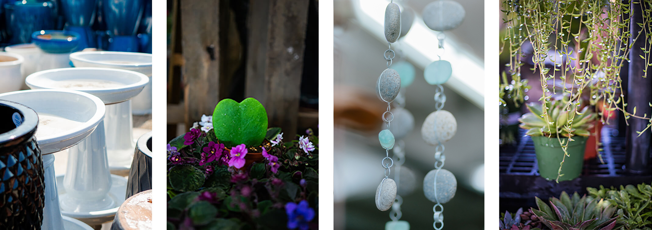 4 images - birdbaths, hoya heart and African violets; shattered glass rain chain; and string of bananas succulents