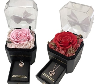 mossify preserved rose pink and red with necklace