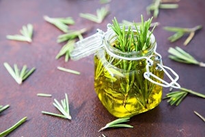 harvesting rosemary