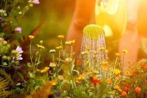 person watering flowers with watering can summerwinds arizona