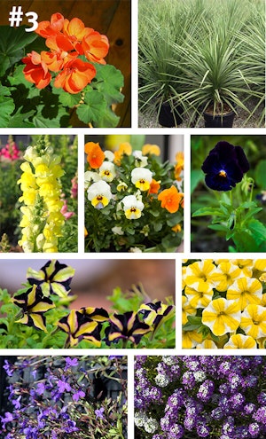 Fall Flower Container Garden Recipe 3