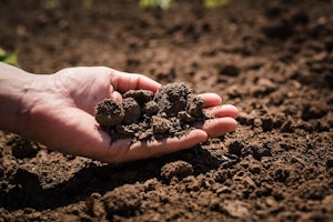 Soil Samples