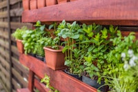 vertical herb garden