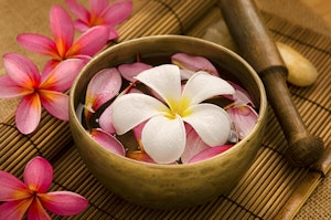 Plumeria flowers in a bowl