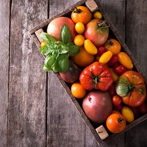 Fresh Picked Tomatoes