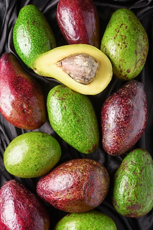 Avocado Varieties