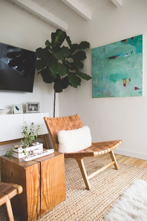 fiddle leaf fig