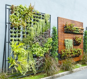 Privacy Screen