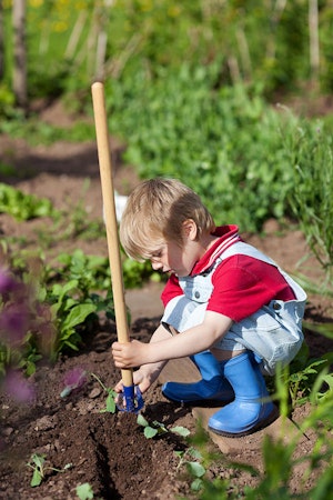 Kid Digging With Shovel