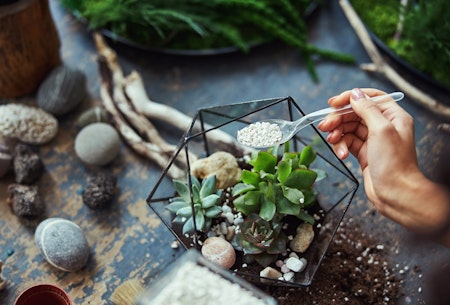 building a terrarium