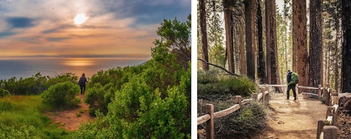 hikers taking a nature walk at big sur and in yosemite national park