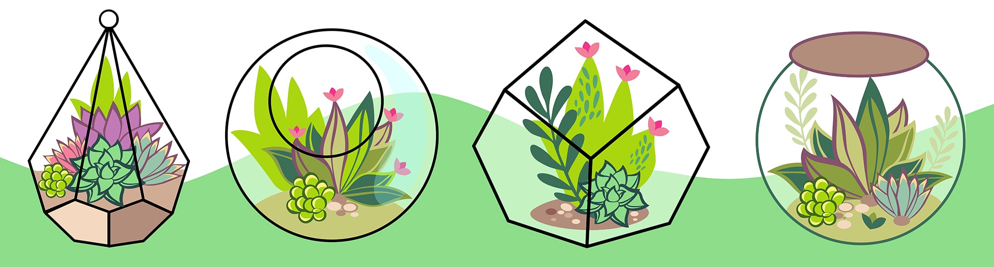 4 different terrarium styles illustration
