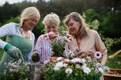 women gardening three women happily gardening