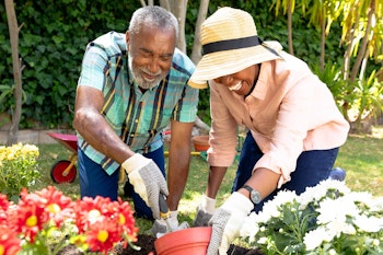 happy couple gardening happy couple gardening
