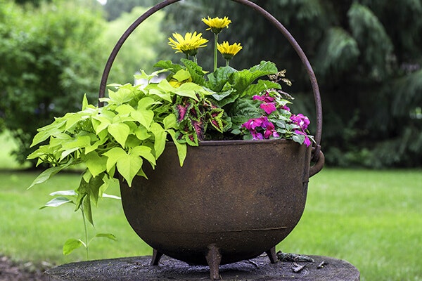 metal planter summerwinds az
