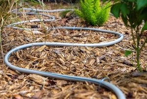 A soaker hose set up to water several plants in a garden atop mulch.