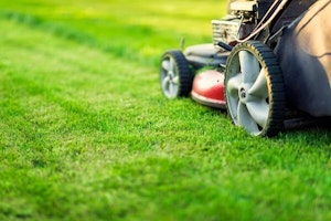 Mow your lawn to keep it healthy