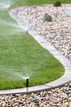 watering tips