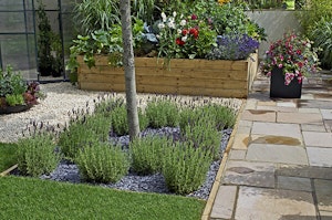 Basins or Raised Garden Beds