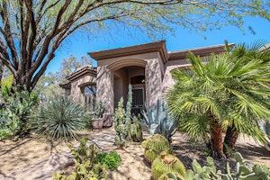Shaded Desert Front Yard