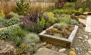 Raised Bed and Desert Garden