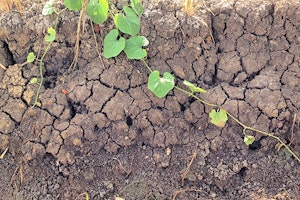 Eroding Soil
