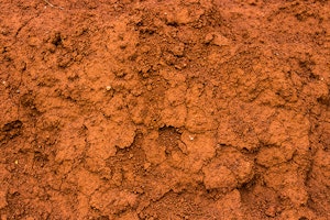 Clay Soil