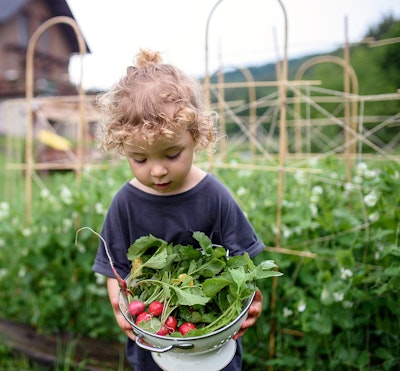 little girl looking at radishes grown in a large garden