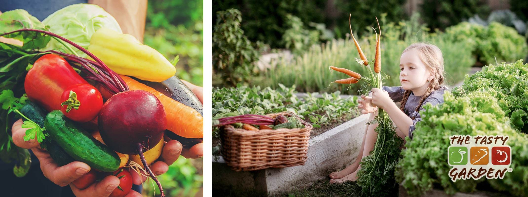 grow your own vegetables, herbs and small fruits tasty garden little girl sitting in garden and man holding fresh produce