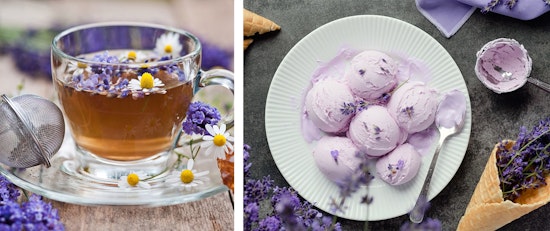 lavender flowers as edible flowers garnish and as ingredients in tea and ice cream