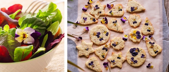 pansies garnish and as ingredients in salads and cookies