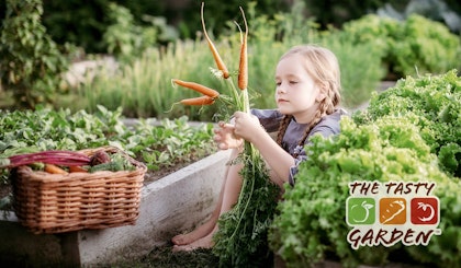 girl holding carrots in garden -the tasty garden