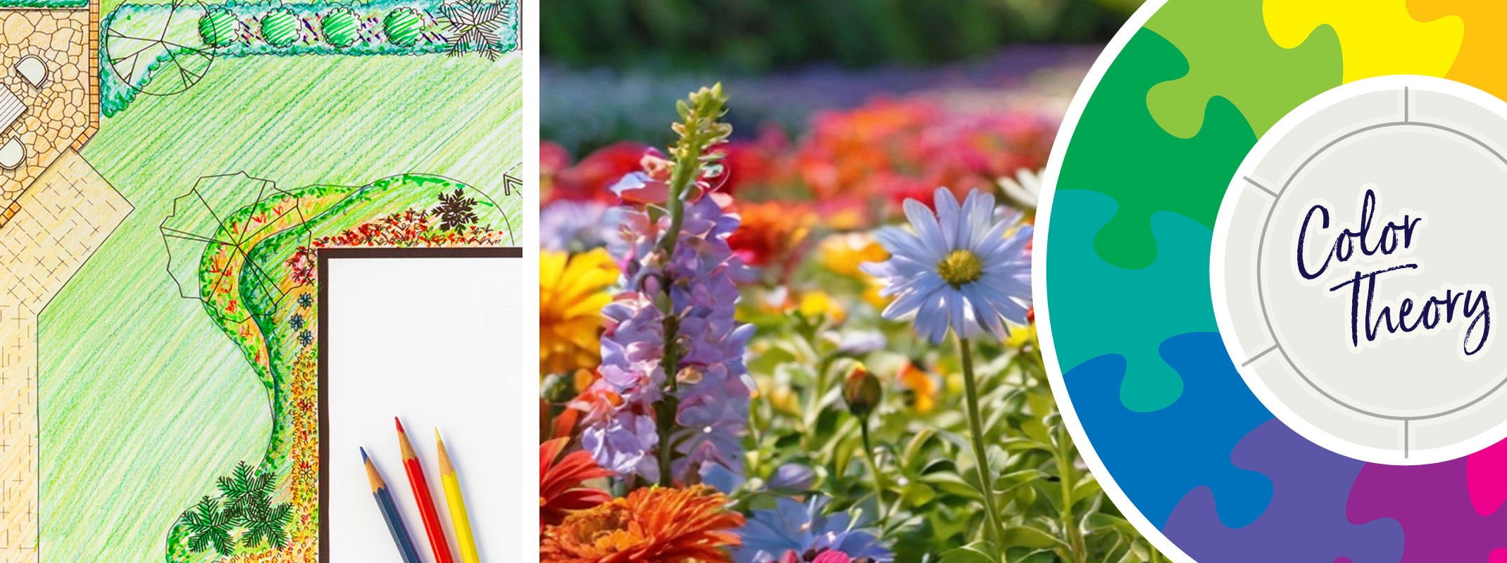 color theory diagram, flowers in garden and color wheel with color theory on it